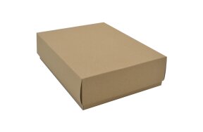 KRAFT PAPER BOX 22,5x17x6cm SET/20
